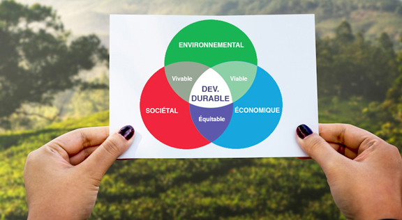 des sites web respectueux du developpement durable une innovation socotic