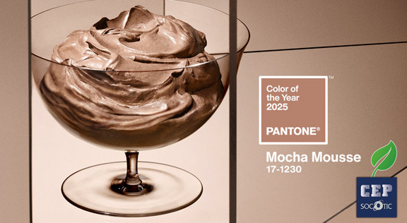 Image illustrant la couleur de l'année 2025 selon pantone Mocha Mousse actu cep-socotic