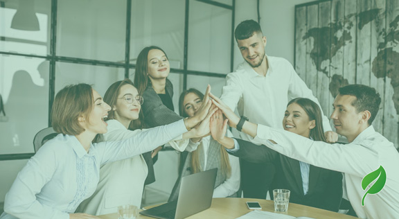 valoriser votre marque employeur et votre politique rse avec un site web ecoresponsable Actu CEP-SOCOTIC