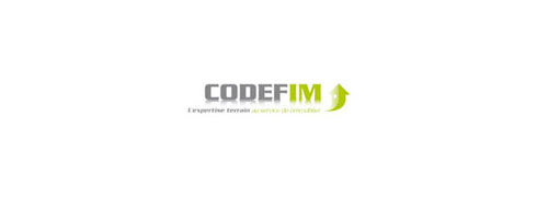 site web codefim a été réalisé par cep-socotic agence web implante a proximite de saint avertin 37550